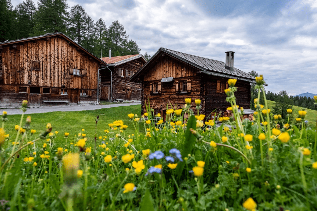 Munter - Ziteil - Cre digl Lai